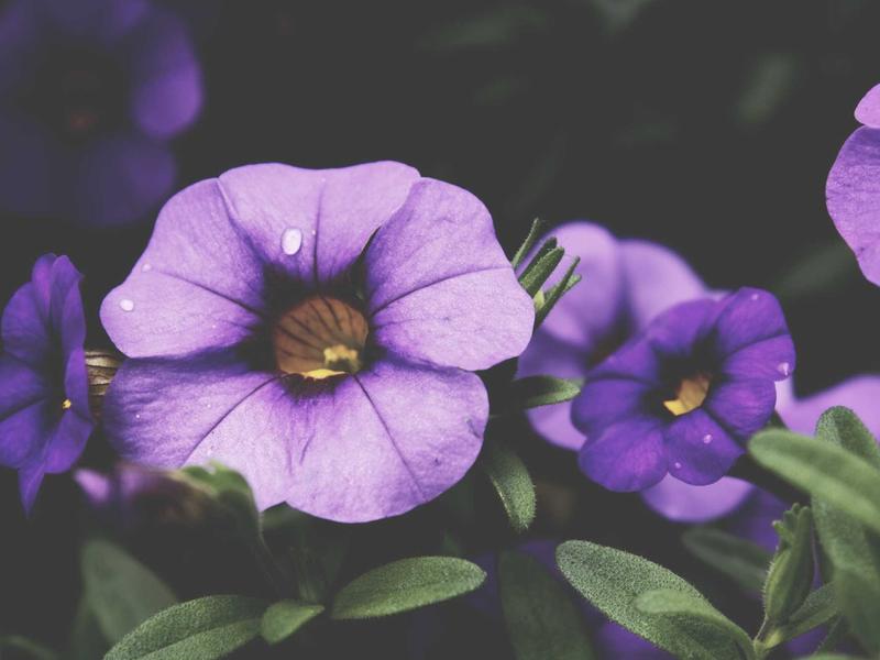 sudoku free online screenshot 5